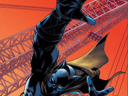 Black Panther #3 25 Copy Variant Edition Salvador Larroca Variant on Sale