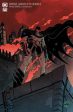 Batman Gargoyle Of Gotham #2 (Of 4) Cover F 1 in 50 Bruno Seelig Variant (Mature) Sale