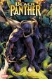 Black Panther #7 25 Copy Alexander Lozano Variant Online now