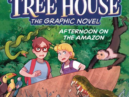 Magic Tree House Graphic Novel Volume 06 Afternoon On Amazon Fashion