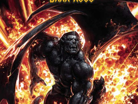 Gargoyles Dark Ages #5 Cover A Crain For Discount