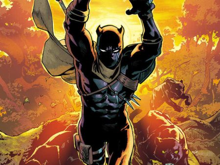 Black Panther #4 25 Copy Mahmud Asrar Variant Online Sale